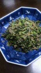 大根葉.jpg