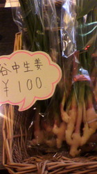 谷中生姜.jpg