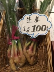 谷中生姜.jpg
