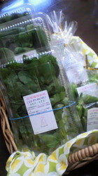 GAIAの野菜.jpg