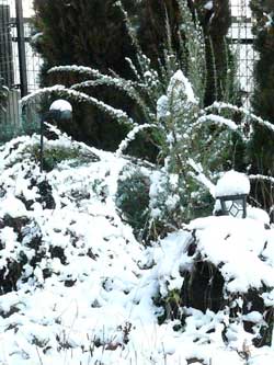 日本発!柏のオーガニック女性専用岩盤浴ガイアのsnow-garden-gaia