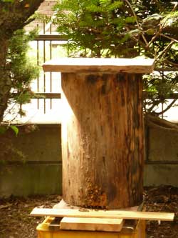 非難してきた、親Bの丸太の巣箱の今朝の画像です。 by Stone Spa GAIA