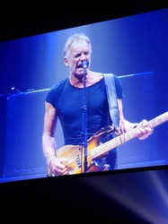 sting.JPG