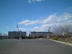 tokyouunivers-kasiwa1web.jpg